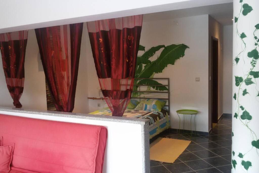 Studio Mira Abragao Luaran gambar