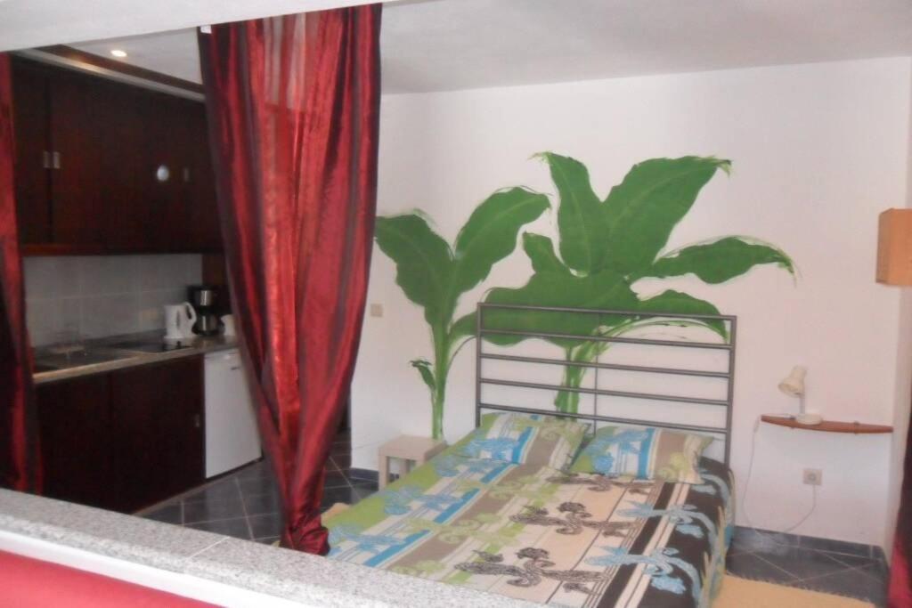 Studio Mira Abragao Luaran gambar