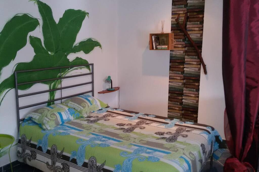Studio Mira Abragao Luaran gambar